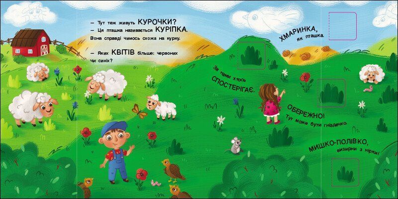 Книга "Книжка для малечі. Хто ховається?" Книга "Книжка для малечі. Хто ховається?" фото