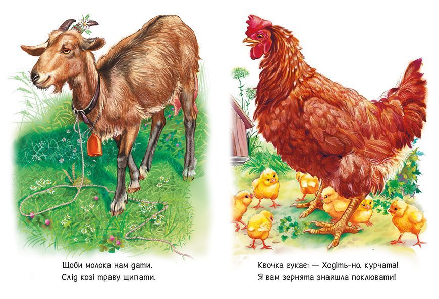 Книга Малятам про звіряток. Поруч з нами Книга Малятам про звіряток. Поруч з нами фото