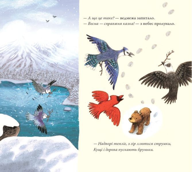 Книга "Перша весна ведмежати" Книга "Перша весна ведмежати" фото