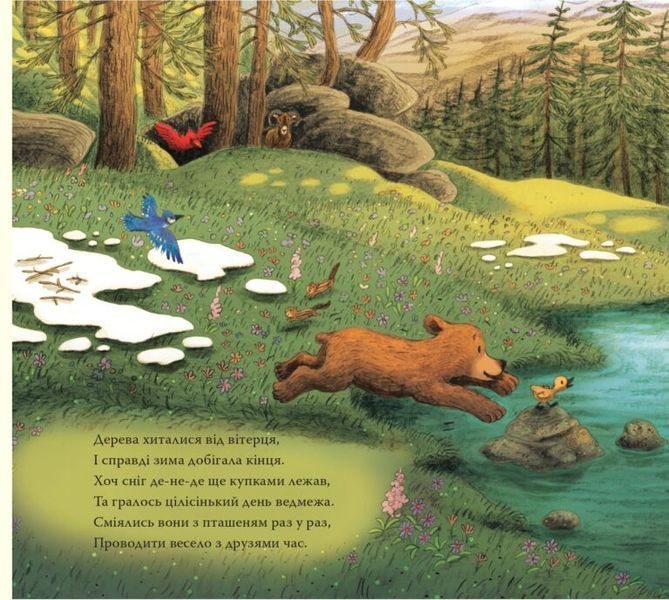 Книга "Перша весна ведмежати" Книга "Перша весна ведмежати" фото