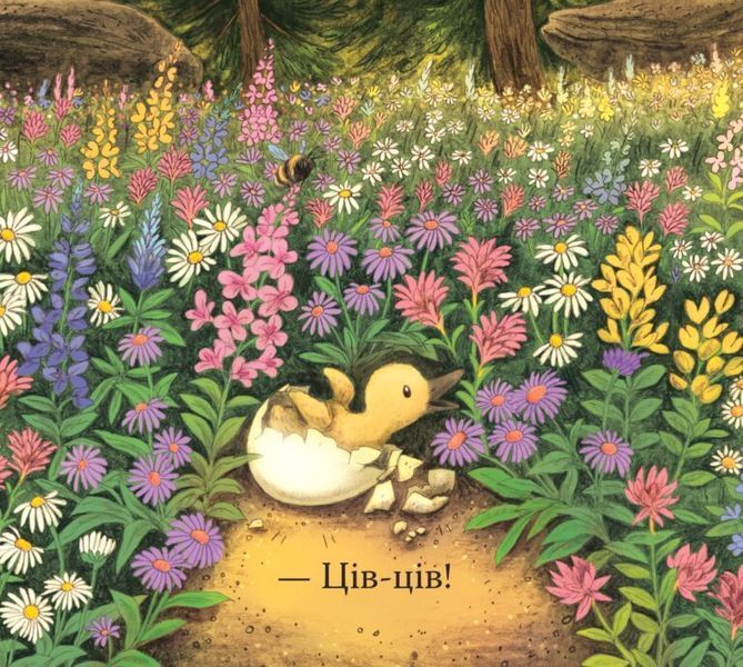 Книга "Перша весна ведмежати" Книга "Перша весна ведмежати" фото