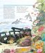 Книга "Чому? Чого? Навіщо? Досліджуємо морських тварин. 4-7 років" Книга "Чому? Чого? Навіщо? Досліджуємо морських тварин. 4-7 років" фото 3