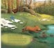 Книга "Перша весна ведмежати" Книга "Перша весна ведмежати" фото 7