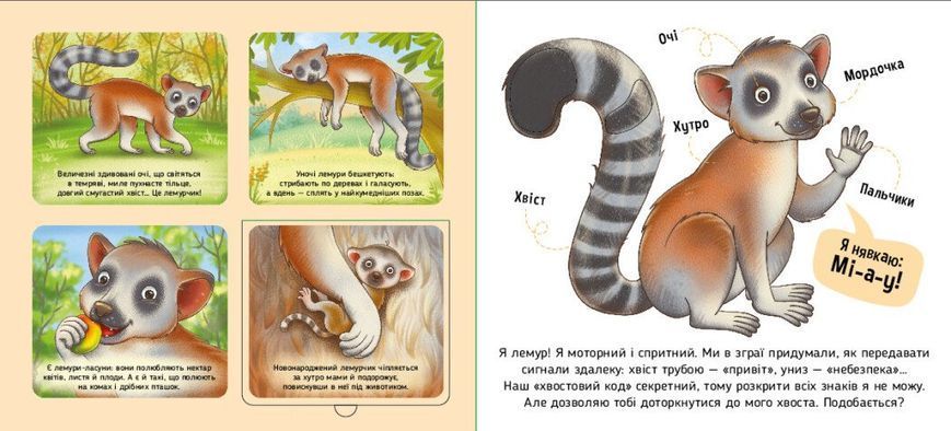 Книга &laquo;Познайомся і погладь: Тварини світу&raquo; Книга &laquo;Познайомся і погладь: Тварини світу&raquo; фото