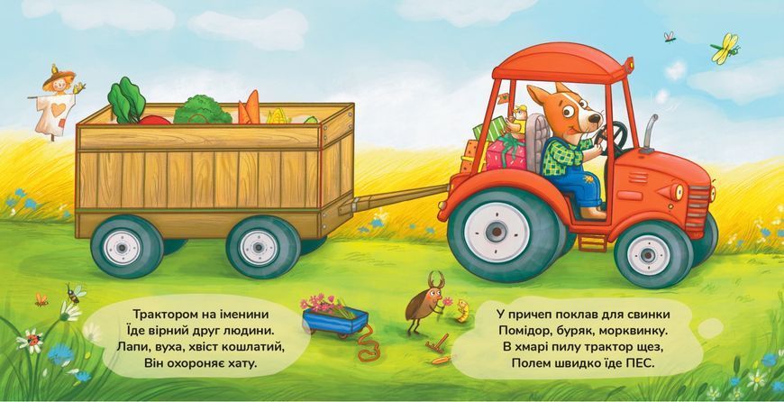 Книга "Іменини. Віршована казка про тварин і транспорт" Книга "Іменини. Віршована казка про тварин і транспорт" фото