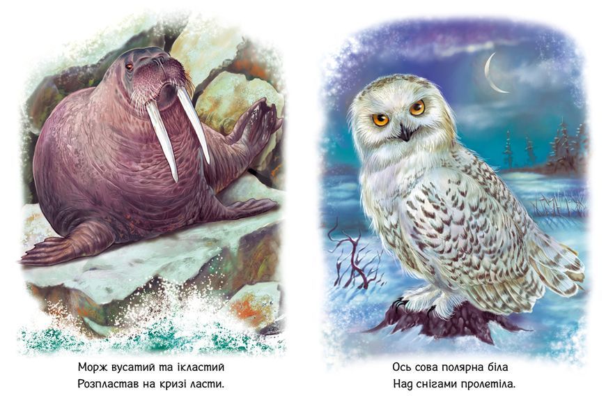 Книга Малятам про звіряток. Тварини світу Книга Малятам про звіряток. Тварини світу фото