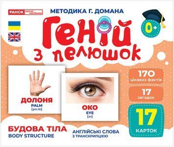 Геній з пелюшок. Будова тіла Геній з пелюшок. Будова тіла фото