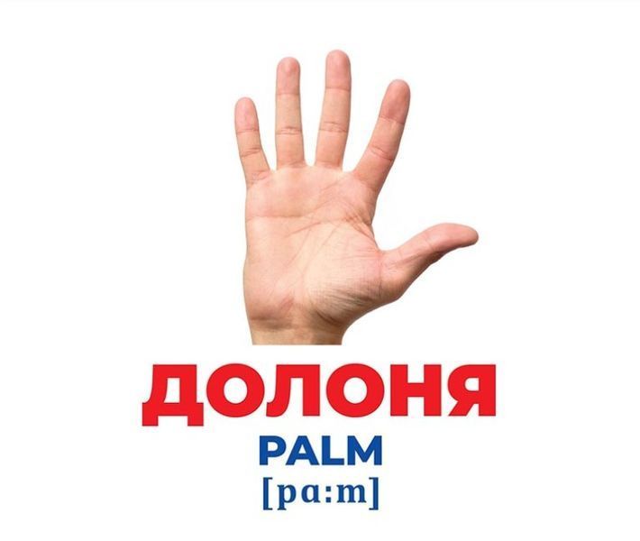 Геній з пелюшок. Будова тіла Геній з пелюшок. Будова тіла фото