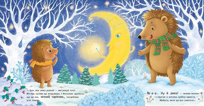 Книга "Рік їжачка Фось-Фося: Що таке зима" Книга "Рік їжачка Фось-Фося: Що таке зима" фото