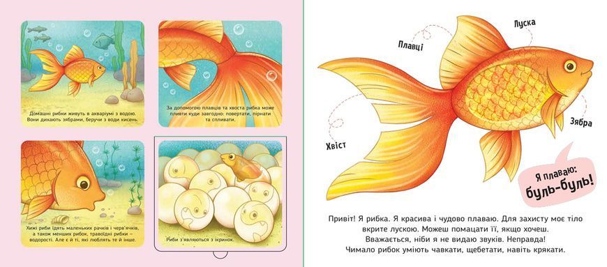 Книга &laquo;Познайомся і погладь: Мої улюбленці&raquo; Книга &laquo;Познайомся і погладь: Мої улюбленці&raquo; фото