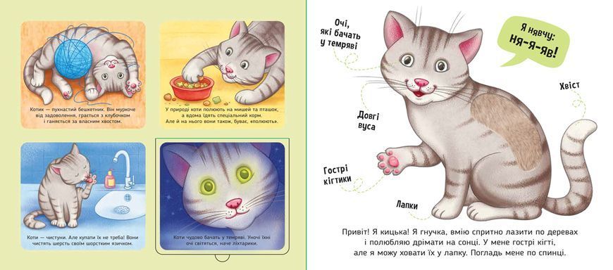 Книга &laquo;Познайомся і погладь: Мої улюбленці&raquo; Книга &laquo;Познайомся і погладь: Мої улюбленці&raquo; фото