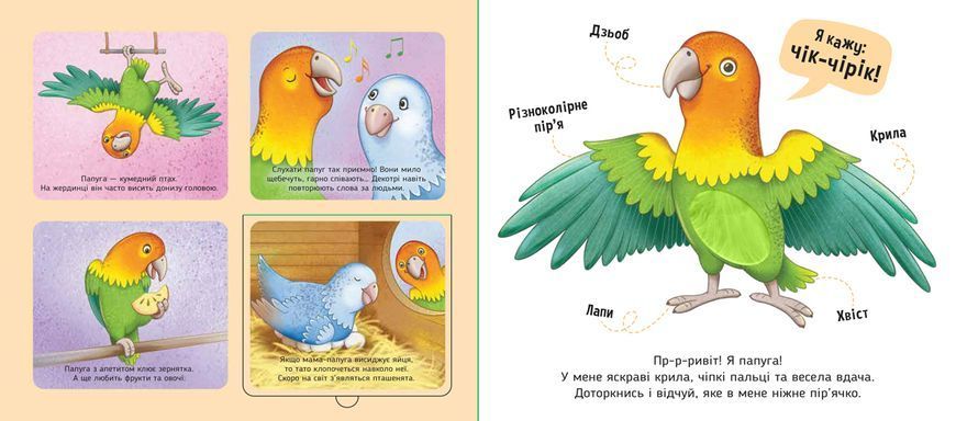 Книга &laquo;Познайомся і погладь: Мої улюбленці&raquo; Книга &laquo;Познайомся і погладь: Мої улюбленці&raquo; фото