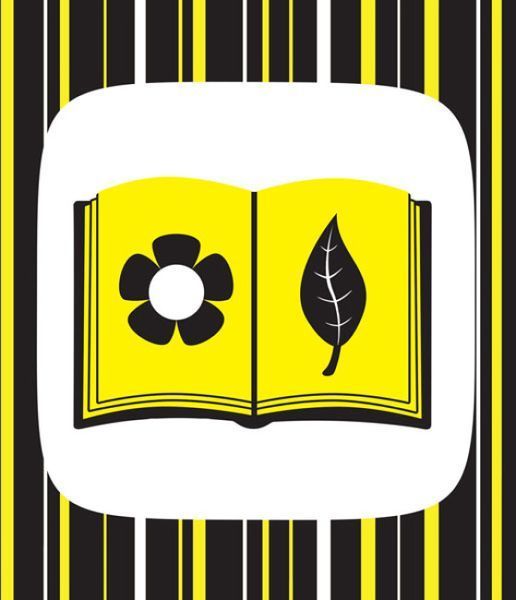 Контрастна книжка для немовляти. Ку-ку-сі Контрастна книжка для немовляти. Ку-ку-сі фото