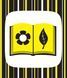 Контрастна книжка для немовляти. Ку-ку-сі Контрастна книжка для немовляти. Ку-ку-сі фото 4