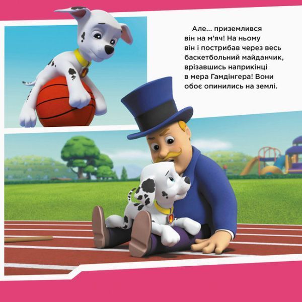 Щенячий патруль. Історії. Щенята рятують баскетбольний матч Щенячий патруль. Історії. Щенята рятують баскетбольний матч фото