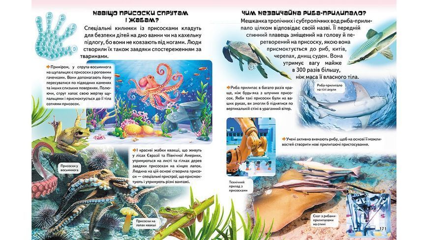 Книга "Дивовижна енциклопедія тварин у запитаннях і відповідях" Книга "Дивовижна енциклопедія тварин у запитаннях і відповідях" фото