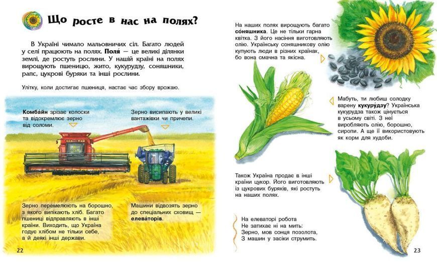 Книга &laquo;Енциклопедія дошкільника (нова): Україна&raquo; Книга &laquo;Енциклопедія дошкільника (нова): Україна&raquo; фото