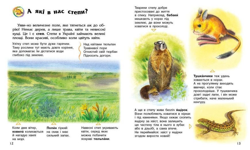Книга &laquo;Енциклопедія дошкільника (нова): Україна&raquo; Книга &laquo;Енциклопедія дошкільника (нова): Україна&raquo; фото