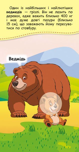 Книжка у кишеню з наліпками. Де чий малюк Книжка у кишеню з наліпками. Де чий малюк фото
