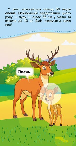 Книжка у кишеню з наліпками. Де чий малюк Книжка у кишеню з наліпками. Де чий малюк фото