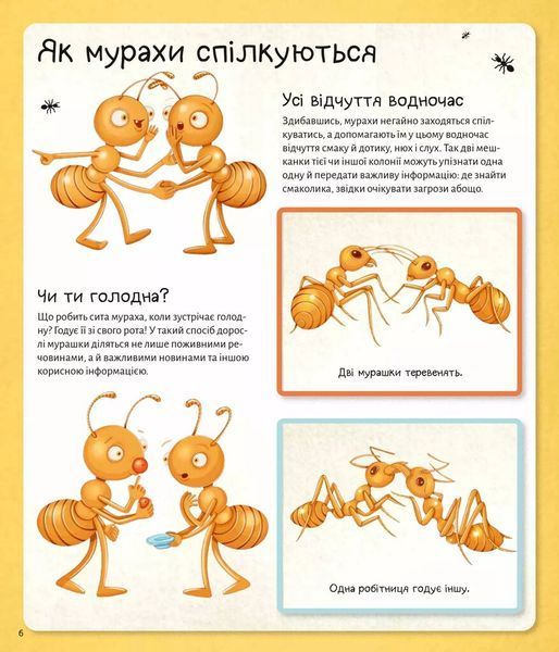 Книга &laquo;Світ мурах&raquo; Книга &laquo;Світ мурах&raquo; фото