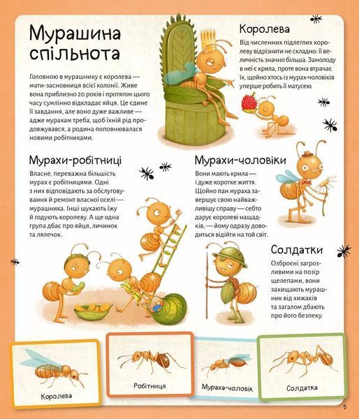 Книга &laquo;Світ мурах&raquo; Книга &laquo;Світ мурах&raquo; фото