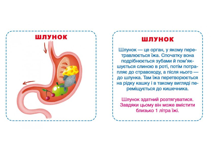 Розумні картки. Моє тіло Розумні картки. Моє тіло фото