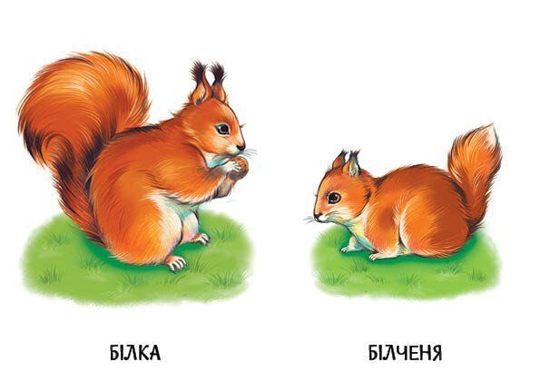 Книга "22 картинки: Мами і дитинчата" Книга "22 картинки: Мами і дитинчата" фото