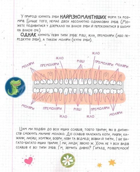 Найважливіша книжка про зуби Найважливіша книжка про зуби фото
