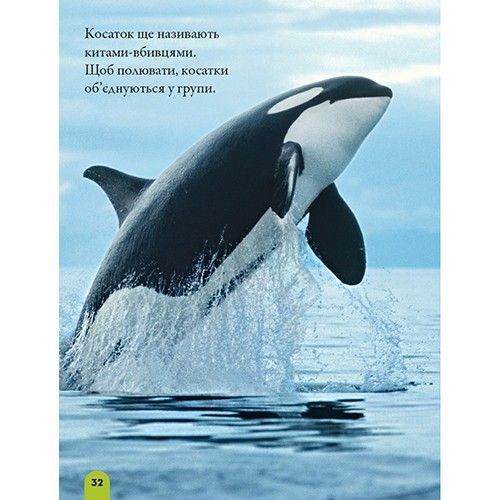 Книга "National Georganic. Моя перша енциклопедія. Океани" Книга "National Georganic. Моя перша енциклопедія. Океани" фото