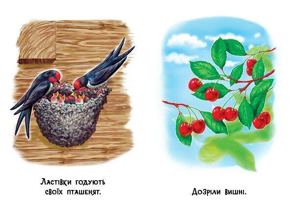 Книга "22 картинки: Пори року" Книга "22 картинки: Пори року" фото