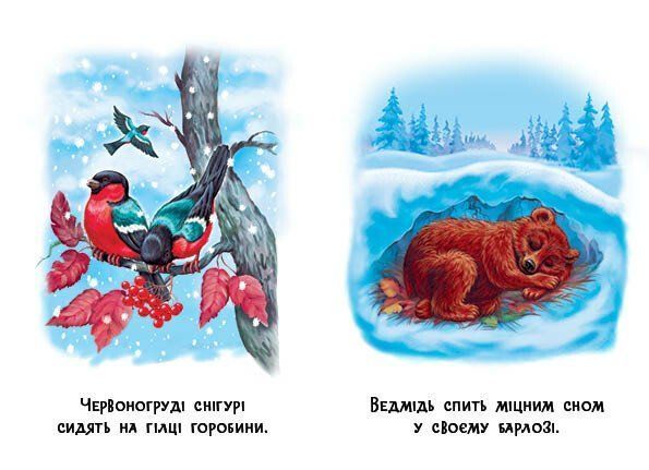 Книга "22 картинки: Пори року" Книга "22 картинки: Пори року" фото