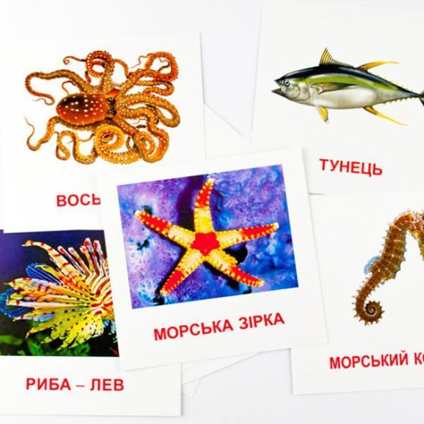 Картки міні. Морські жителі Картки міні. Морські жителі фото