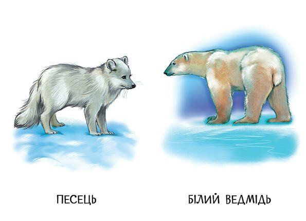 Книга "22 картинки: Прогулянка зоопарком" Книга "22 картинки: Прогулянка зоопарком" фото