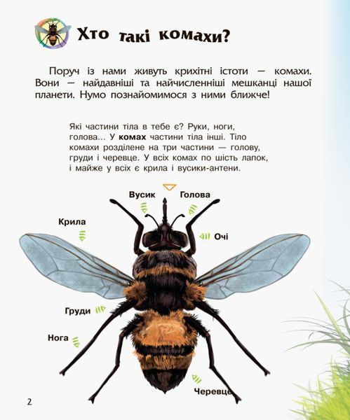 Екциклопедія дошкільника (нова). Комахи Екциклопедія дошкільника (нова). Комахи фото