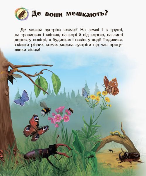 Екциклопедія дошкільника (нова). Комахи Екциклопедія дошкільника (нова). Комахи фото