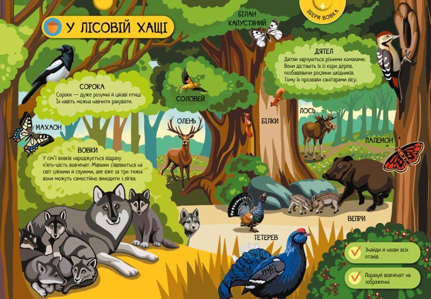 Енциклопедія-конструктор. Тварини лісу. Енциклопедія-конструктор. Тварини лісу. фото