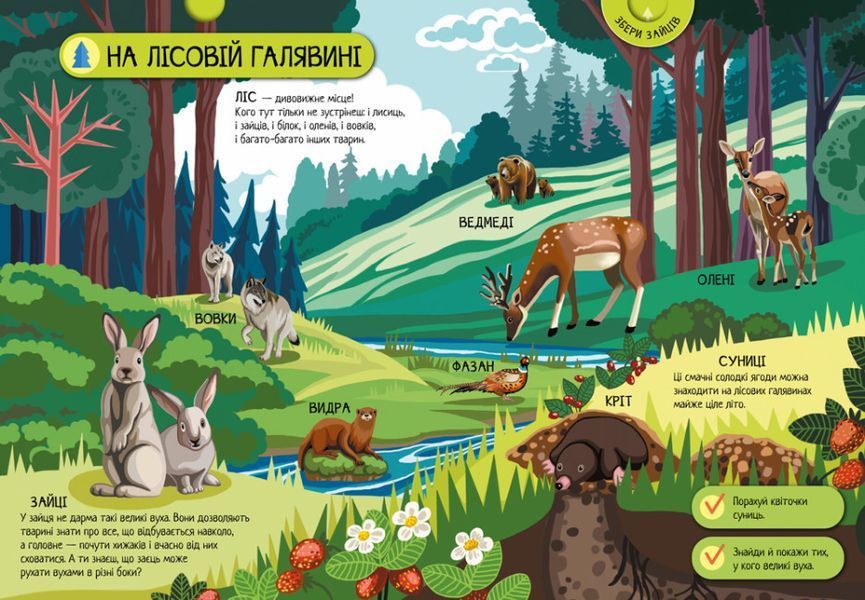 Енциклопедія-конструктор. Тварини лісу. Енциклопедія-конструктор. Тварини лісу. фото