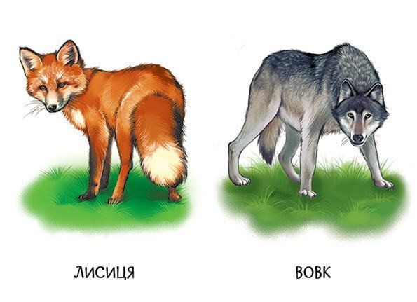 Книга "22 картинки: Улюблені тварини" Книга "22 картинки: Улюблені тварини" фото