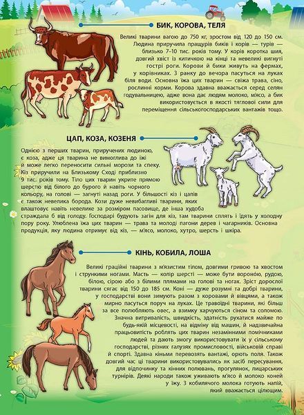Книга енциклопедія з наліпками. Свійські тварини Книга енциклопедія з наліпками. Свійські тварини фото