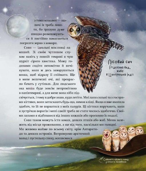 Книга "Відкривай. Такі як ми. Про тварин та їхні характери" Книга "Відкривай. Такі як ми. Про тварин та їхні характери" фото