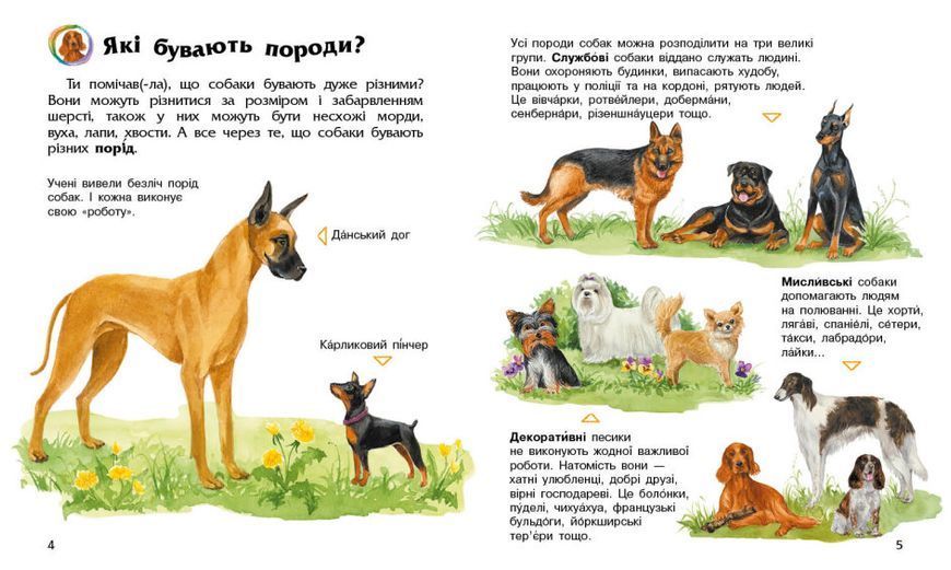Енциклопедія дошкільника. Собаки Енциклопедія дошкільника. Собаки фото