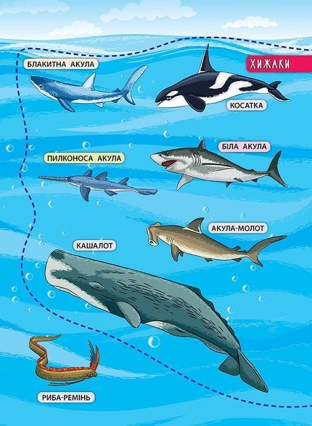 Книга енциклопедія з наліпками. Мешканці морів та океанів Книга енциклопедія з наліпками. Мешканці морів та океанів фото
