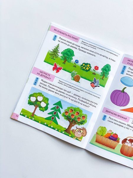 Книга "ТЕСТИ 2+. Підготовка до школи та розвиток дитини" Книга "ТЕСТИ 2+. Підготовка до школи та розвиток дитини" фото