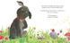 Книга &laquo;Піксі та її новий друг&raquo; Книга &laquo;Піксі та її новий друг&raquo; фото 3