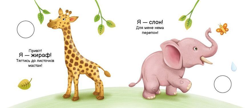 Книга "Моя книжка-розкладайка. Тварини світу" Книга "Моя книжка-розкладайка. Тварини світу" фото