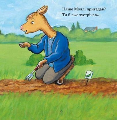 Книга "Лама Лама, ненадовго піде мама" Книга "Лама Лама, ненадовго піде мама" фото