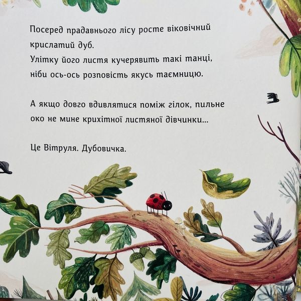 Книга &laquo;Вітруля, дубовичка невеличка&raquo; Книга &laquo;Вітруля, дубовичка невеличка&raquo; фото