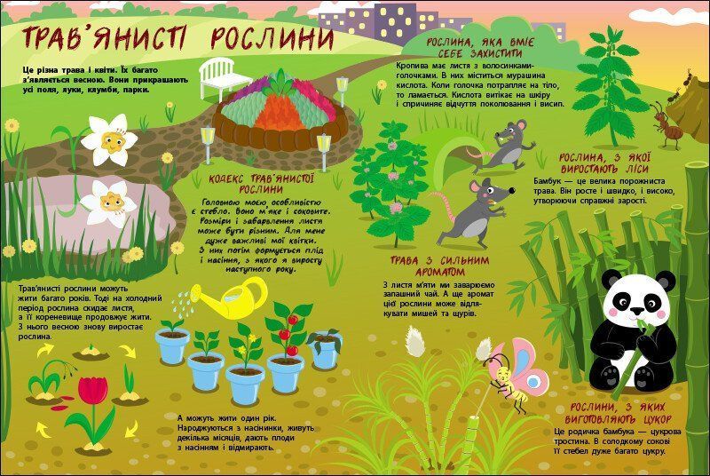 Книга "Таємне життя рослин" Книга "Таємне життя рослин" фото