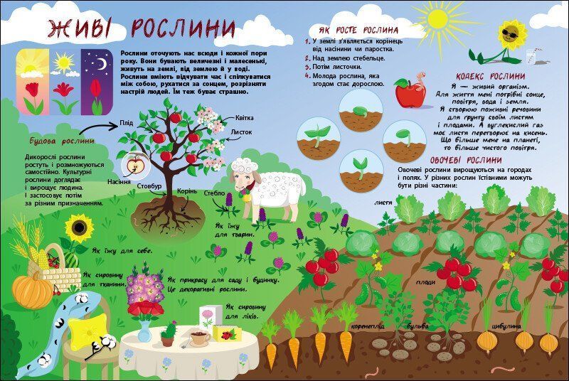 Книга "Таємне життя рослин" Книга "Таємне життя рослин" фото